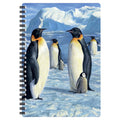3D LiveLife Notebooks - Antarctic Majesty from Deluxebase. Ruled 8.2" x 5.7" Medium Notepad. 80 Page Spiral Bound Notebook, Lenticular Pengu