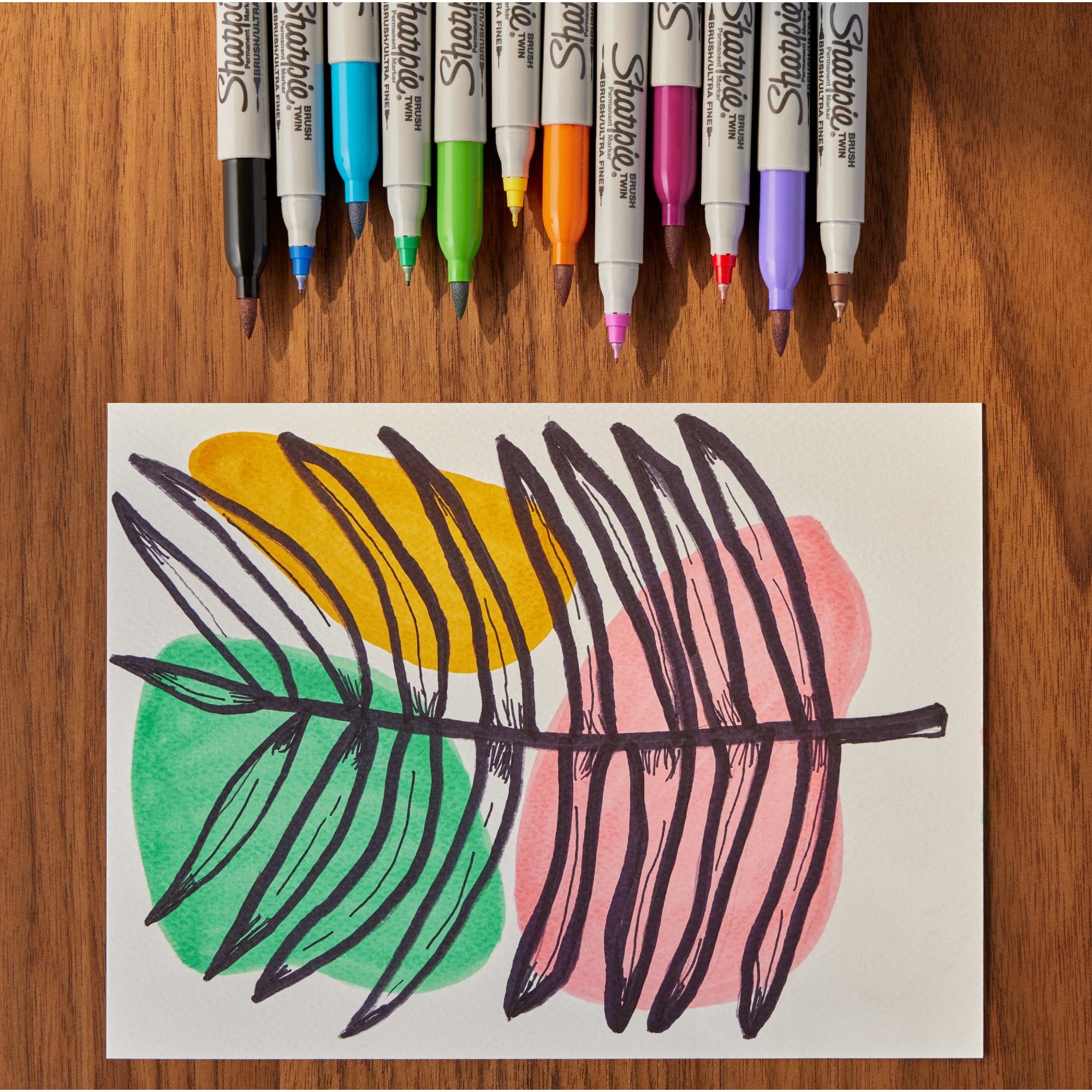 Brush Twin Permanent Markers, Brush Tip Marker and Ultra Fine Tip Marker, Assorted, 12 Count - Image 5