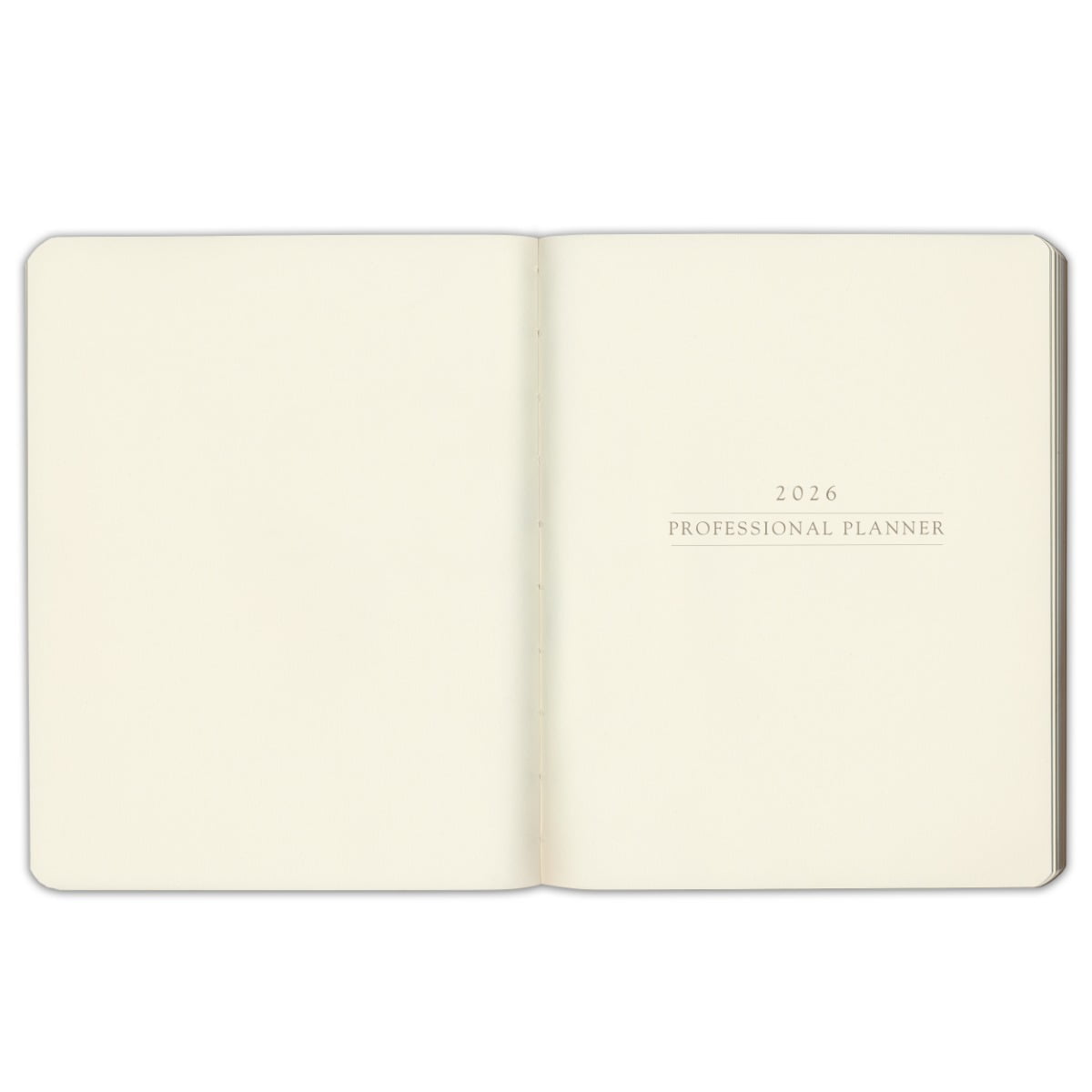 Professional Planner 2026 - Acadia Tan - 9x7" - Image 6