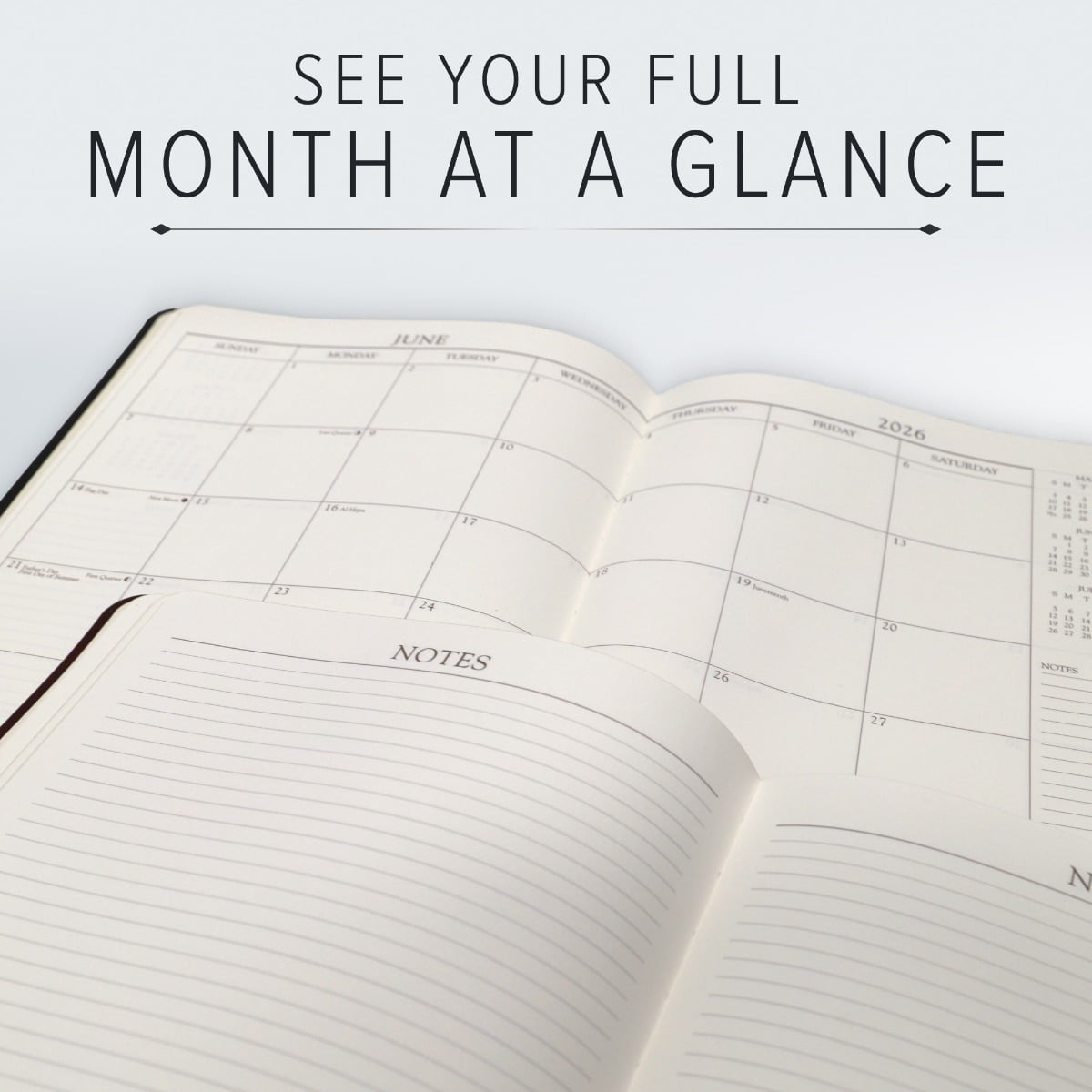 Professional Planner 2026 - Acadia Tan - 9x7" - Image 4